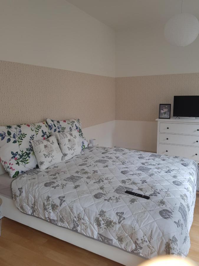apartman Deny2 Apartment Decin Bagian luar foto